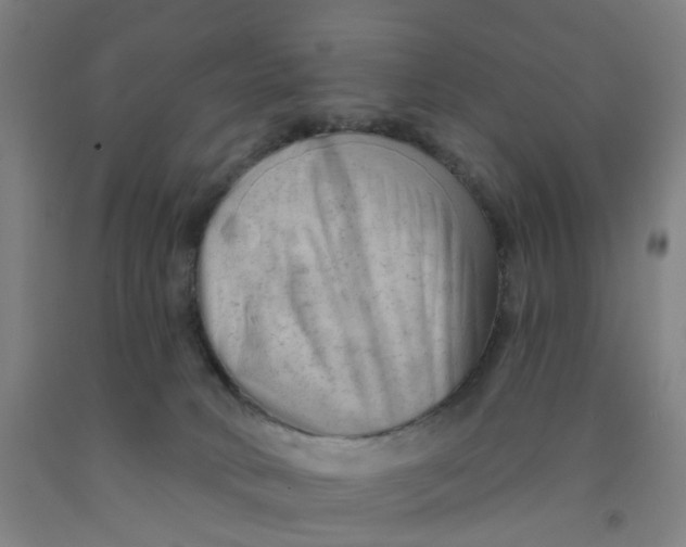 X0000091970034200709271416