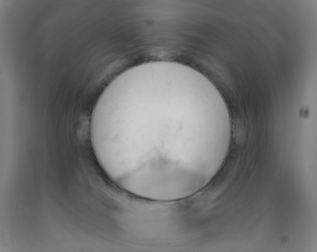 X0000091970036200709271416