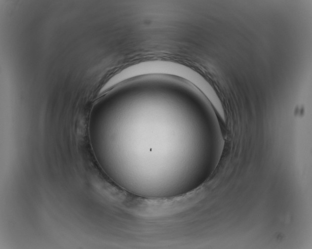 X0000091970037200709271416