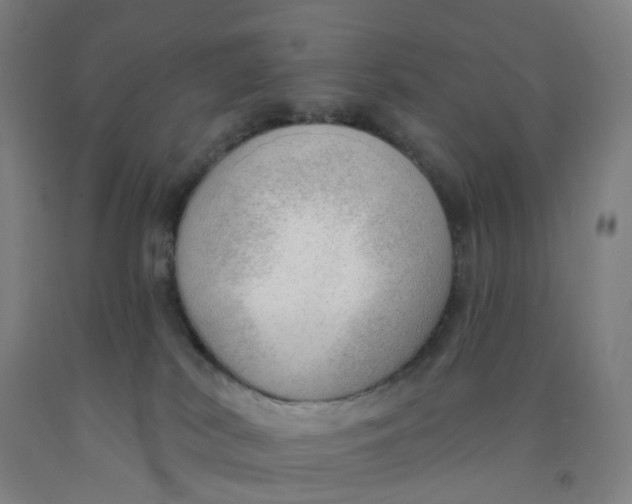 X0000091970038200709271416
