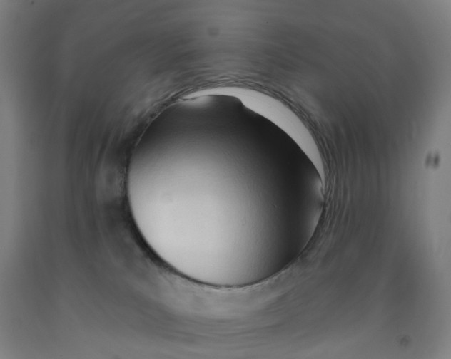 X0000091970039200709271416
