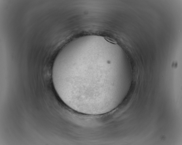 X0000091970040200709271416