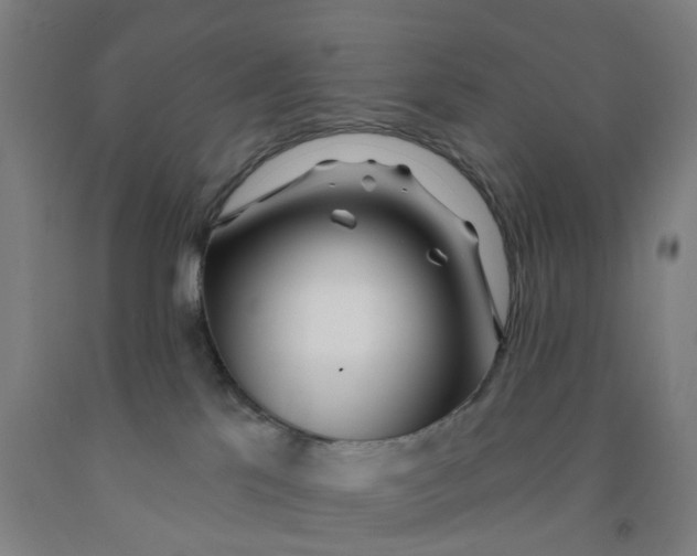 X0000091970041200709271416