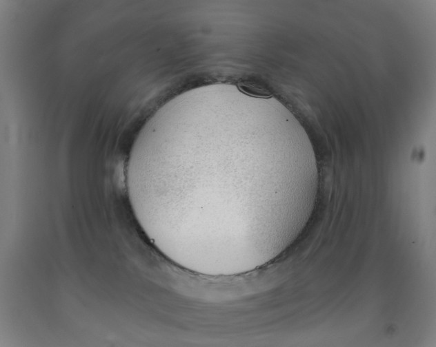 X0000091970042200709271416