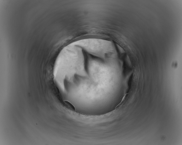 X0000091970043200709271416