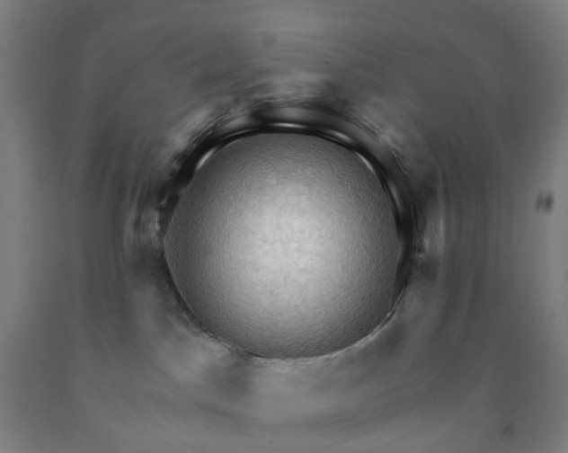 X0000091970045200709271416