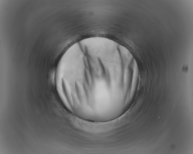 X0000091970047200709271416