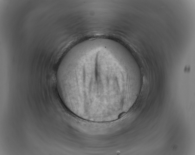 X0000091970048200709271416