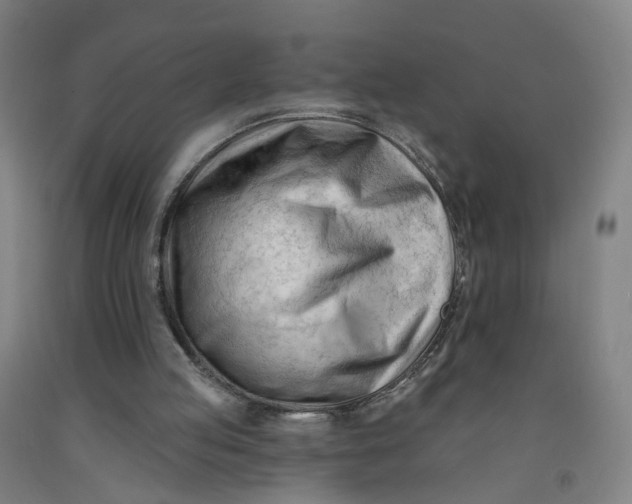 X0000091970053200709271415