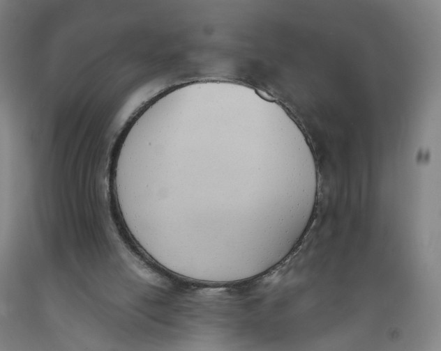 X0000091970054200709271415