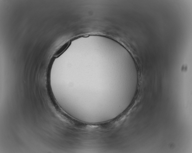X0000091970055200709271415