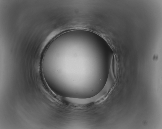 X0000091970056200709271415