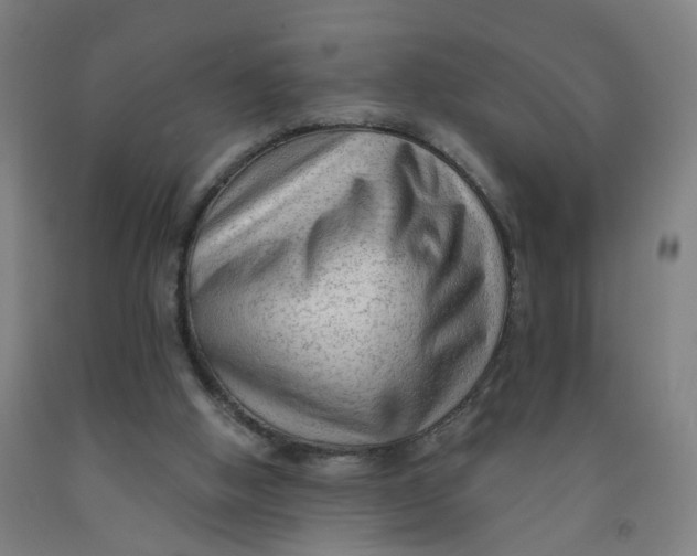 X0000091970058200709271415