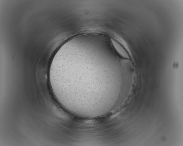 X0000091970059200709271415