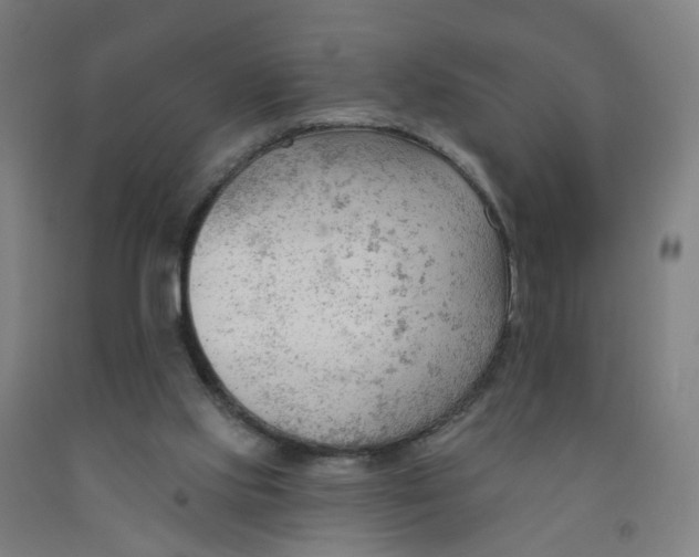X0000091970061200709271415