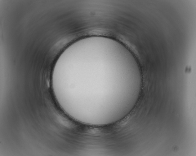 X0000091970062200709271415