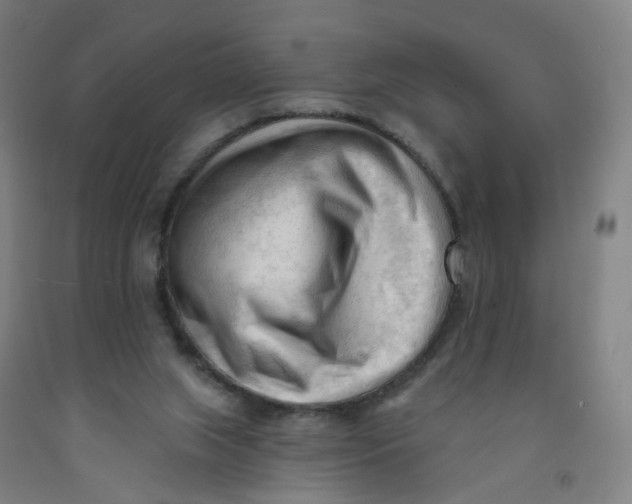 X0000091970063200709271415
