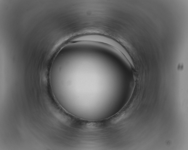 X0000091970064200709271415