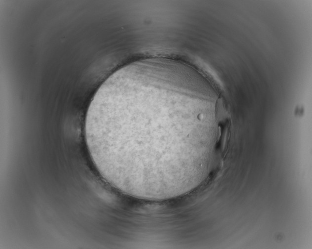X0000091970065200709271415