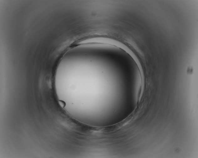 X0000091970068200709271415