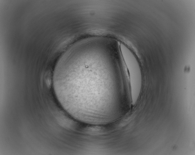 X0000091970069200709271415