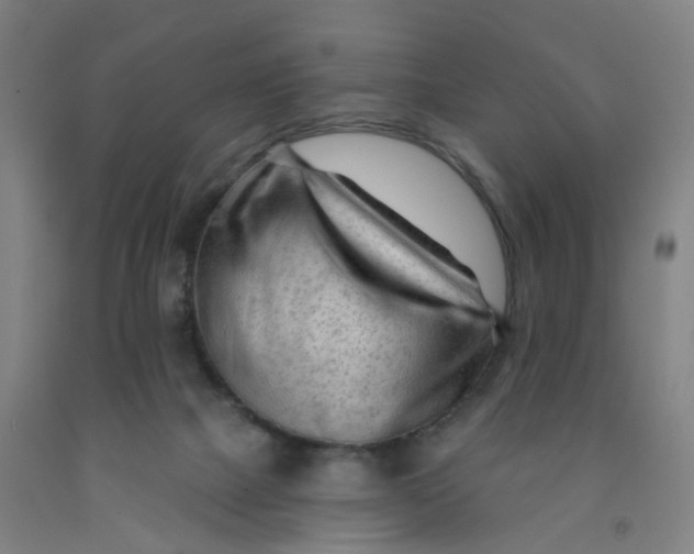 X0000091970073200709271415