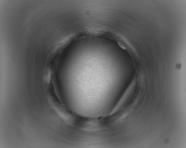 X0000091970076200709271415