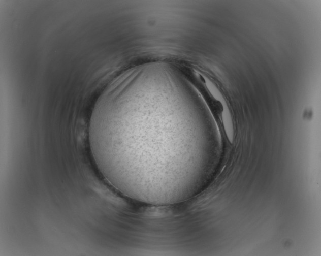 X0000091970077200709271415