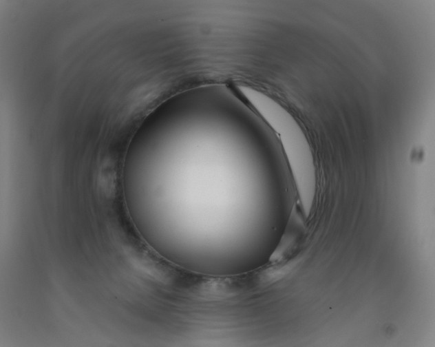 X0000091970080200709271415