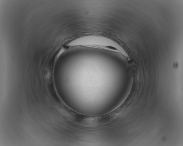 X0000091970084200709271415