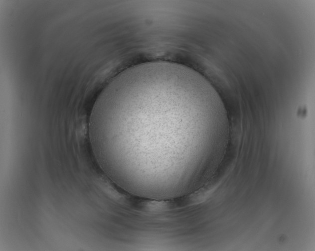 X0000091970085200709271415
