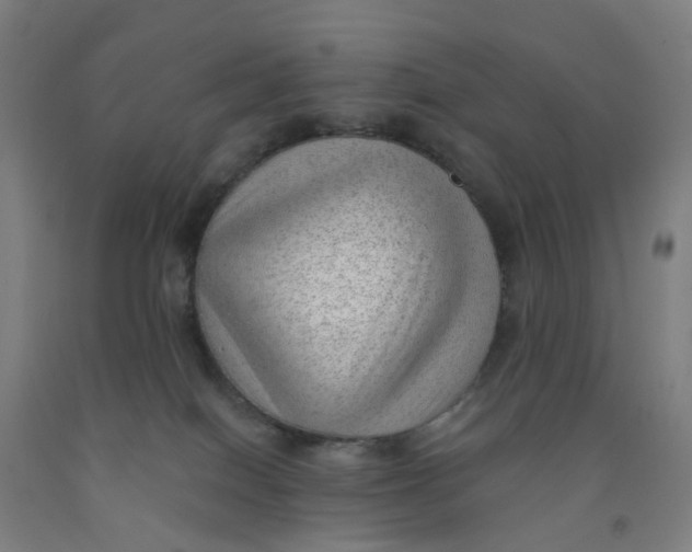 X0000091970086200709271415