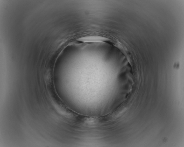 X0000091970088200709271415