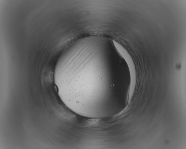 X0000091970090200709271415