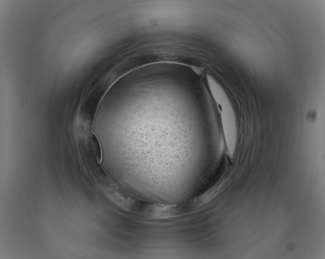 X0000091970093200709271415