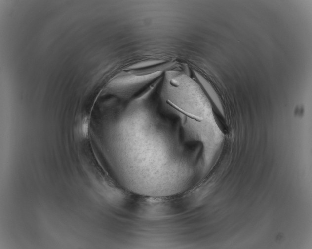 X0000091970095200709271415