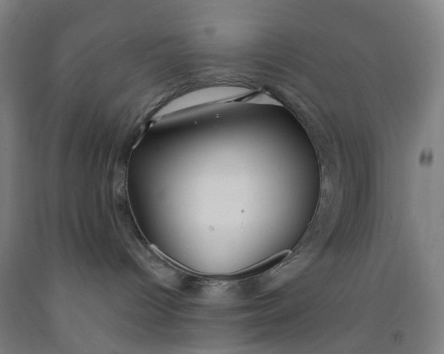 X0000091970096200709271416