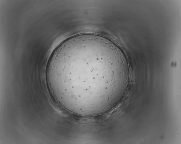 X0000091970099200709271415
