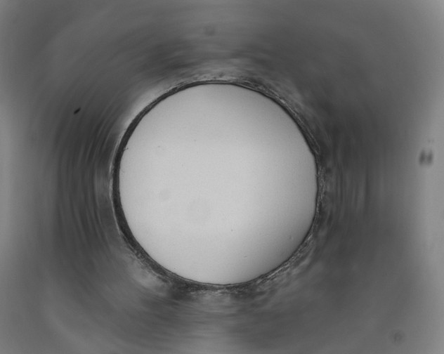 X0000091970100200709271415