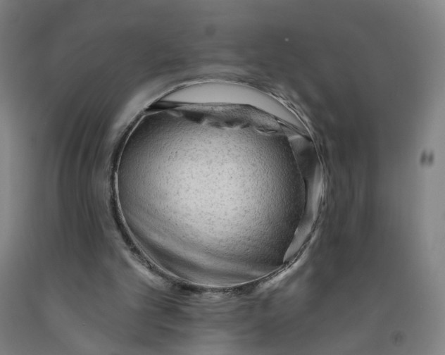 X0000091970101200709271415