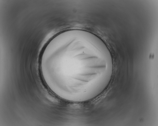 X0000091970102200709271415