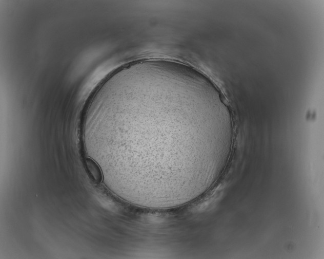 X0000091970103200709271415