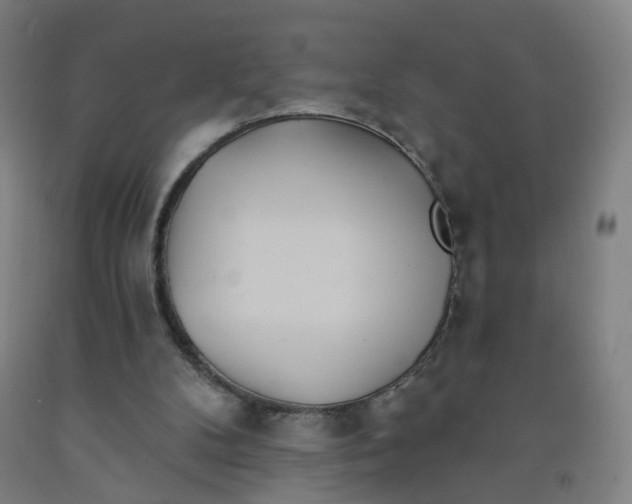 X0000091970104200709271415