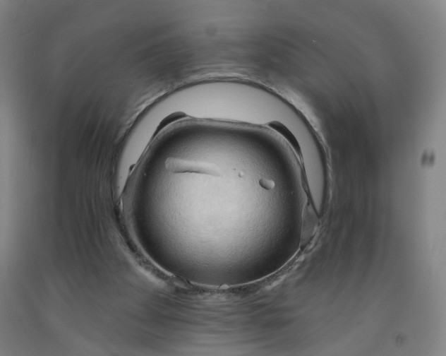 X0000091970105200709271415