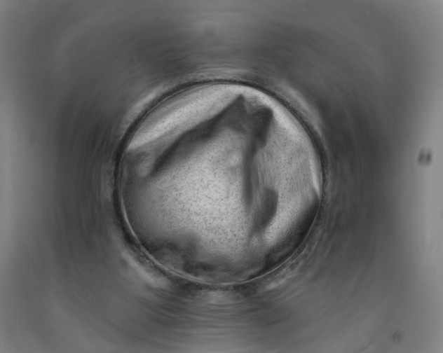 X0000091970107200709271415