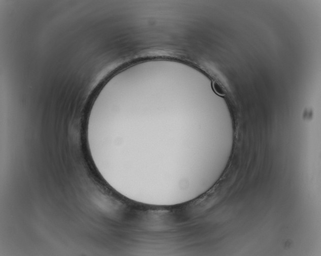X0000091970108200709271415