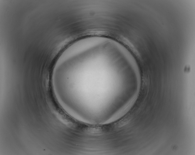 X0000091970110200709271415