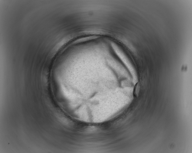X0000091970111200709271415