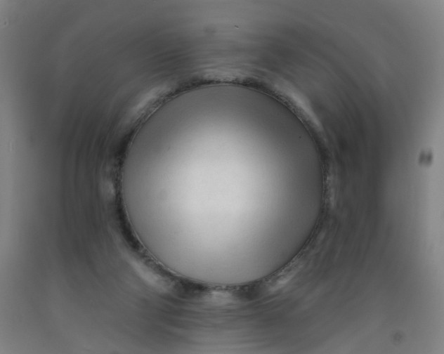 X0000091970114200709271415