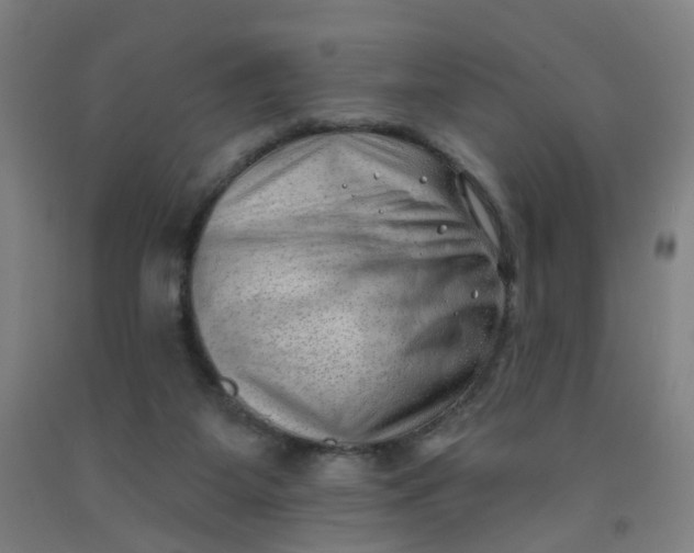X0000091970115200709271415